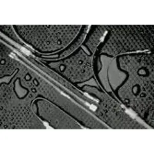 Angebot Isolierte Flachsteckhülse, 6,35 x 0,81 mm, 0,3 bis 0,9 mm², AWG 22 bis 18, Messing, verzinnt, rot, 514711-000