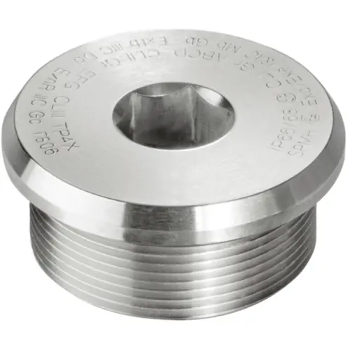 Ex-Verschlussstopfen, M63, (L) 22 mm, Edelstahl, 1477950000 Kostenfreie Lieferung